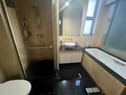 Cairnhill Crest (D9), Condominium #597607301